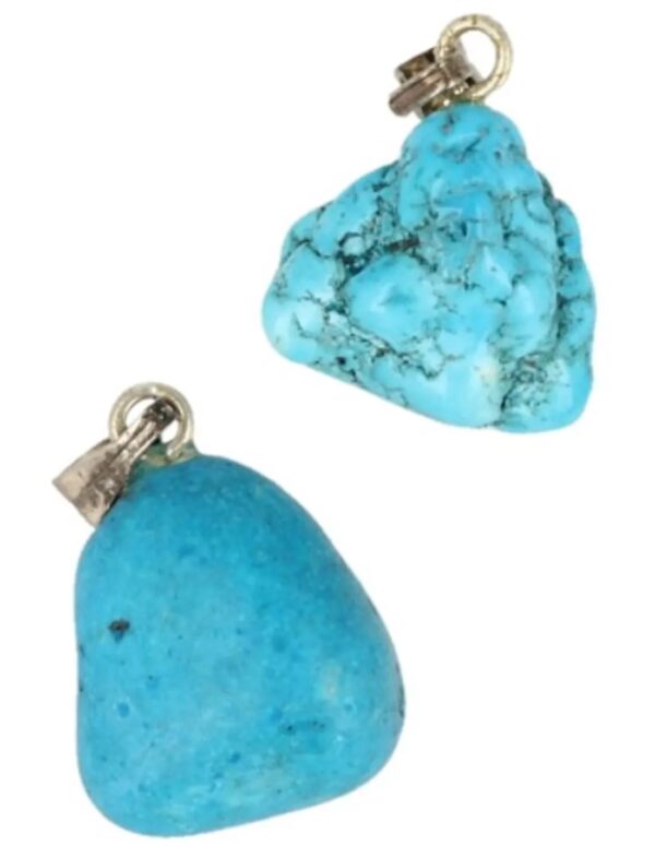 Howliet blauw edelsteen hanger (gekleurd)