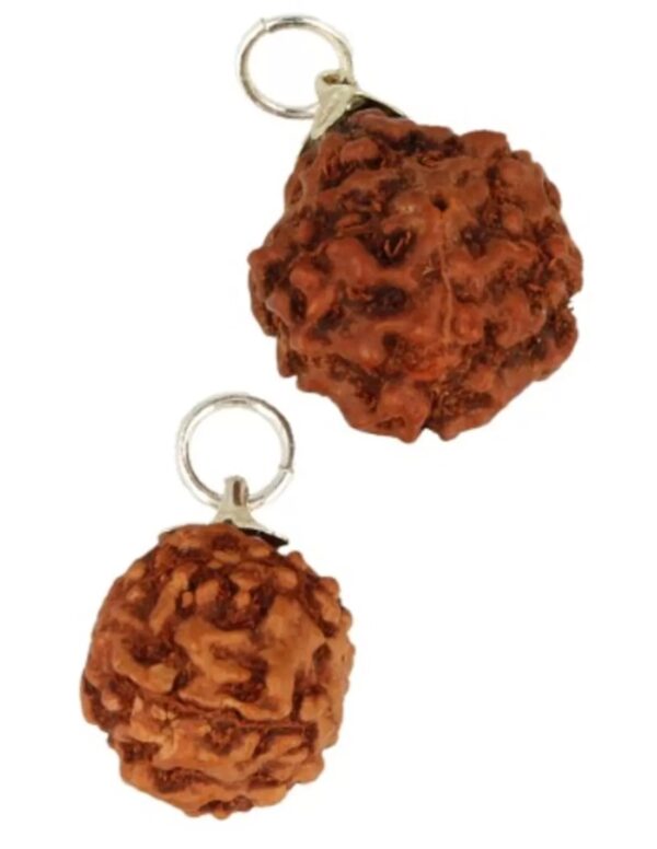 Rhudraksha edelsteen hanger