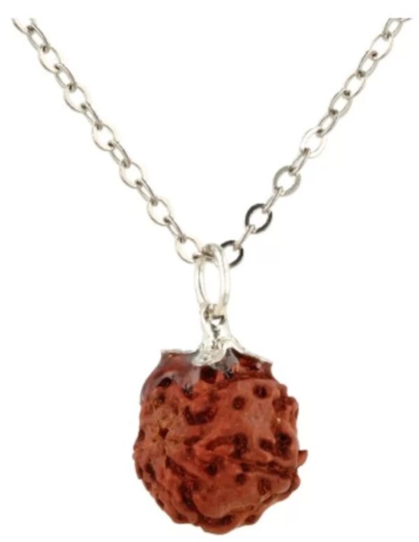 Rhudraksha edelsteen hanger - Image 3
