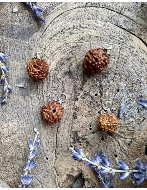 Rhudraksha edelsteen hanger - Image 4