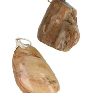 Versteend hout edelsteen hanger