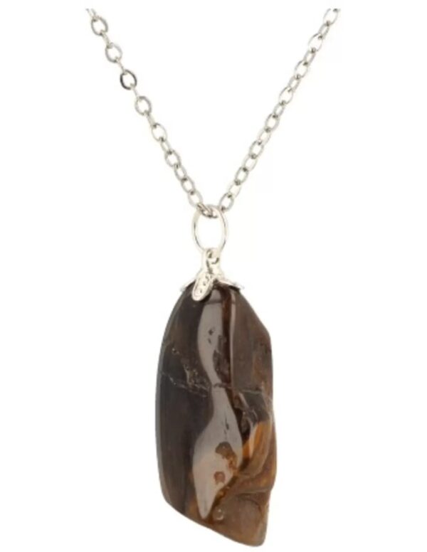 Versteend hout edelsteen hanger - Image 3