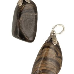 Stromatoliet edelsteen hanger