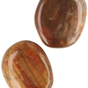 Versteend hout zaksteen