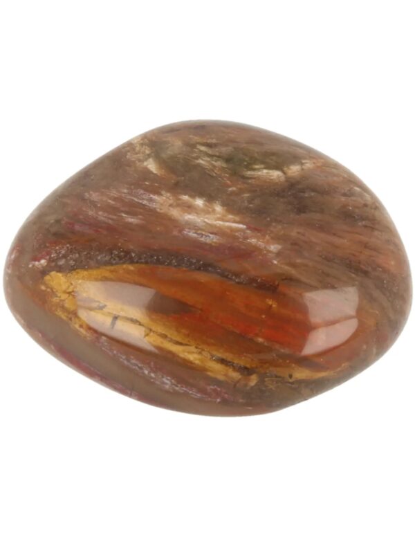 Versteend hout zaksteen - Image 3