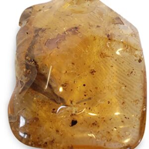 Copal en blad, Madagaskar, nr. 157