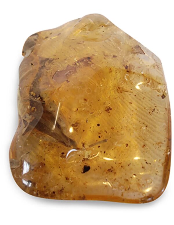Copal en blad, Madagaskar, nr. 157
