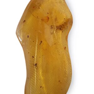 Copal, diverse insluitsels, Madagaskar, nr. 160