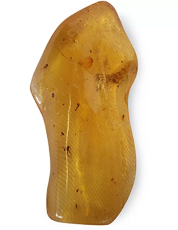 Copal, diverse insluitsels, Madagaskar, nr. 160