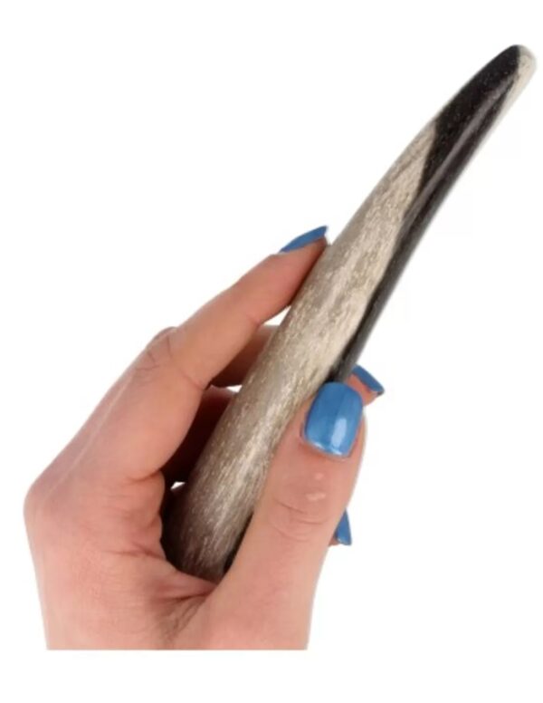 Indonesische behandelstaaf Versteend hout - Image 3