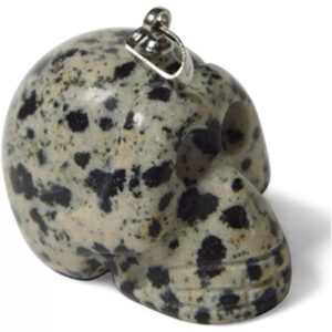 Schedel hanger Jaspis dalmatiër