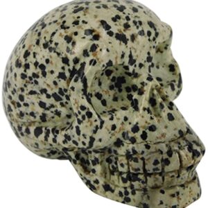 Jaspis dalmatier schedel 70 mm