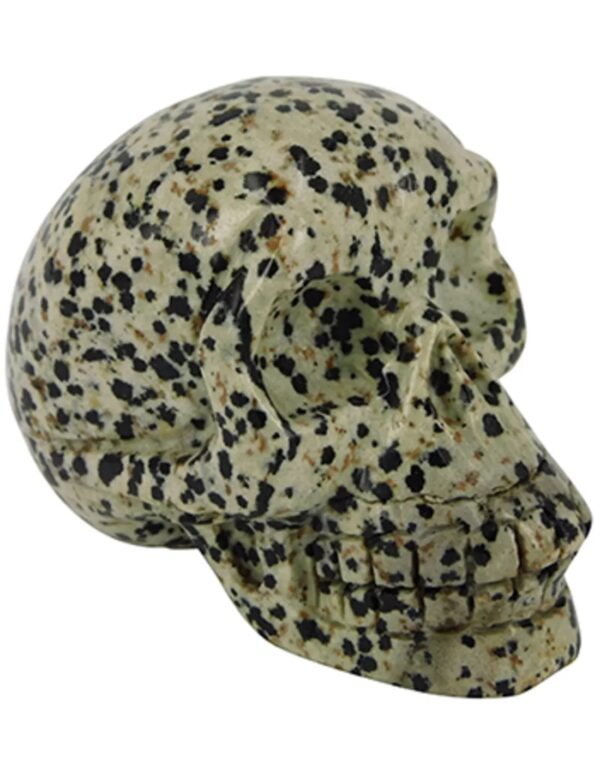 Jaspis dalmatier schedel 70 mm