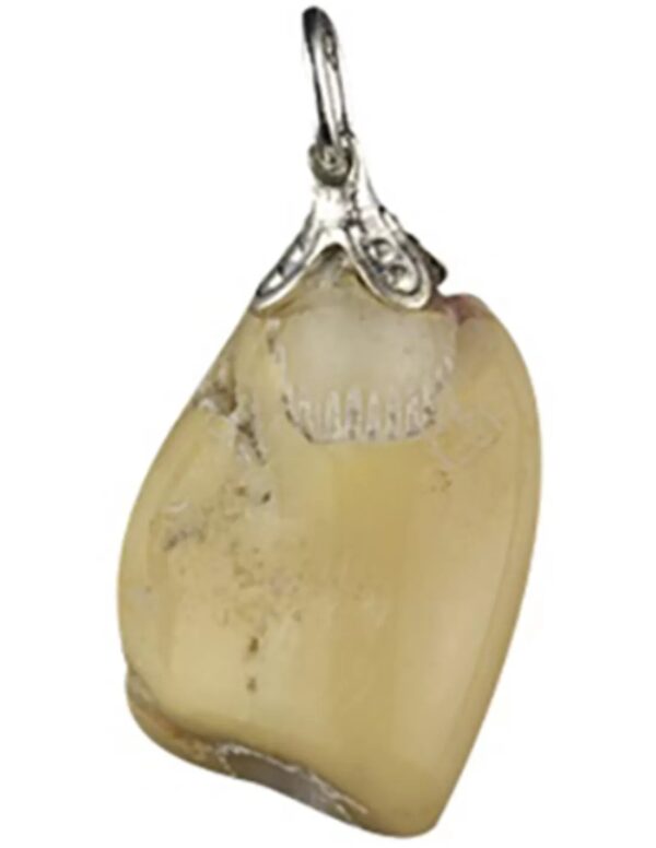 Septarie edelsteen hanger
