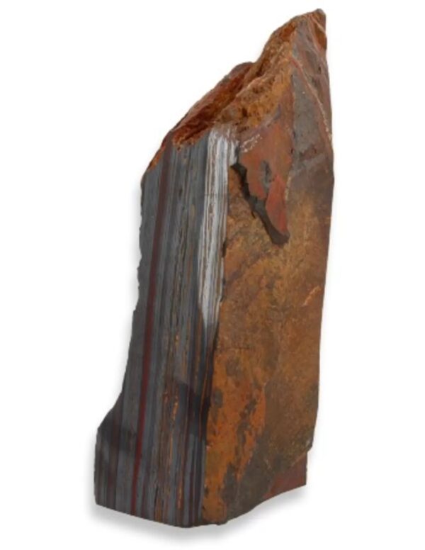 Tijgerijzer, half gepolijst - Image 3