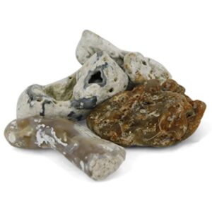 Koraal geagatiseerd trommelstenen (mt3) per gram
