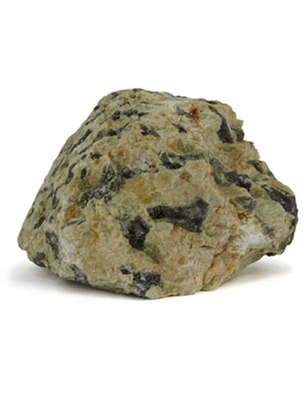 Zebradoriet ruw Madagaskar, p/kg - Image 3