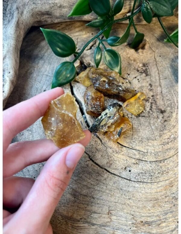 Copal 20 gram trommelstenen (mt3) halfruw - Image 4