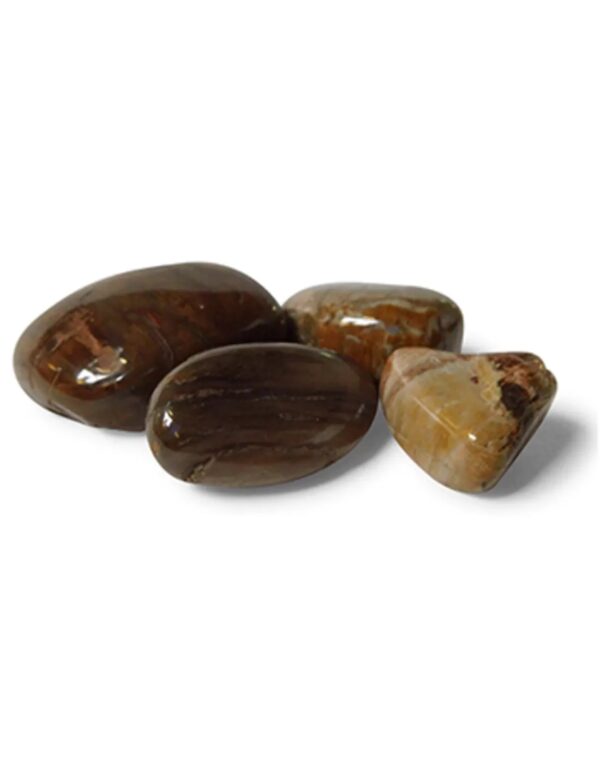 Versteend hout 50 gr. trommelstenen (mt3)