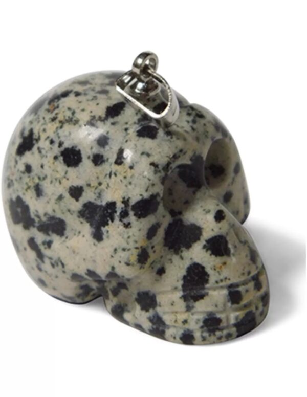 Jaspis dalmatiër schedelhanger aan koord - Image 2