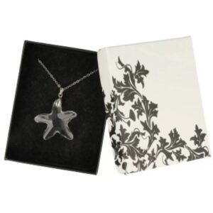 Feng shui ster hanger