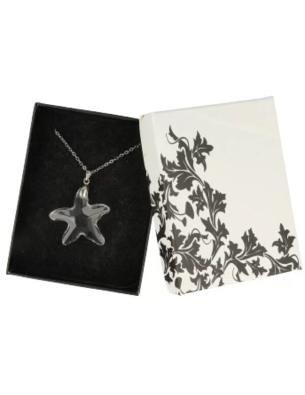 Feng shui ster hanger