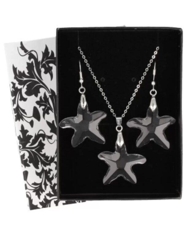 Feng shui ster hanger / oorbellen set