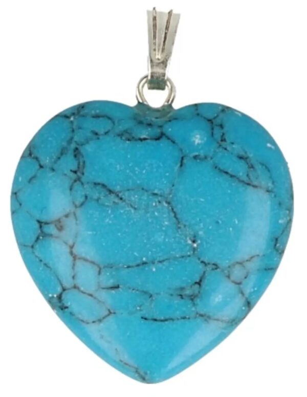 Howliet blauw hart hanger 20 mm (gekleurd)