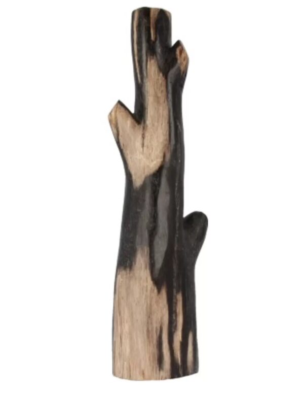 Bamboe scheuten versteend, p/kg