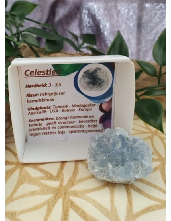 Doosje Celestien - Image 2