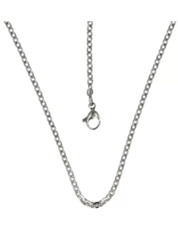 Ketting ankerschakel 2,4 mm 50 cm rvs