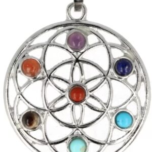 Chakra hanger levensbloem