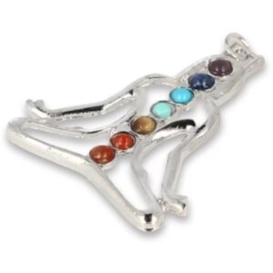 Chakra hanger boeddha