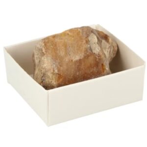Doosje Versteend hout
