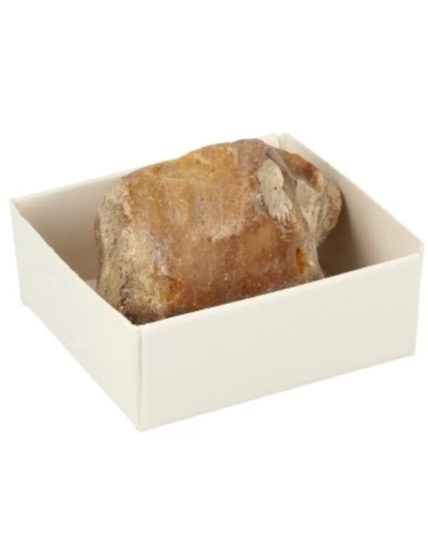 Doosje Versteend hout