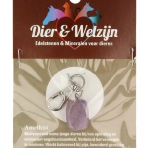 Amethist halsband hanger Dier & Welzijn