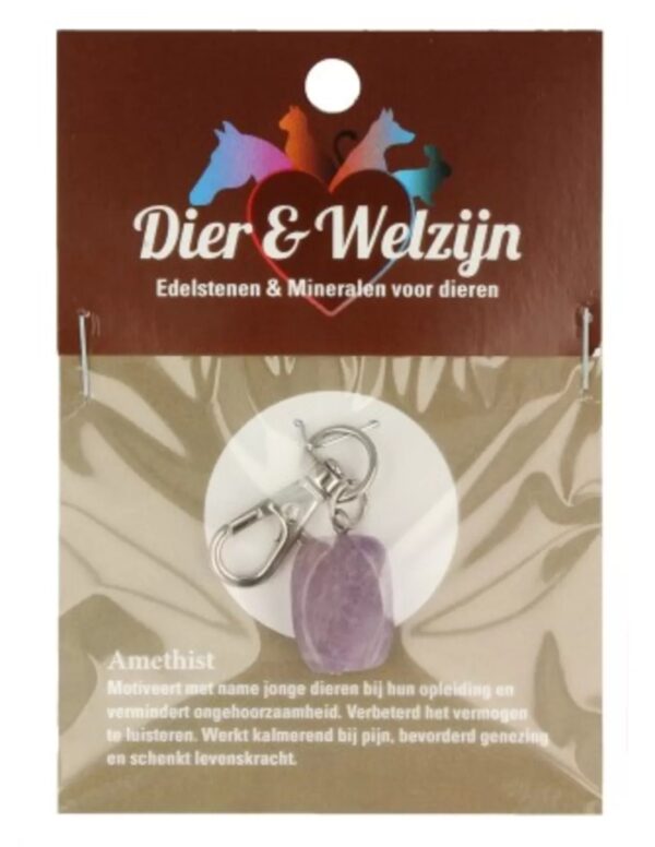 Amethist halsband hanger Dier & Welzijn
