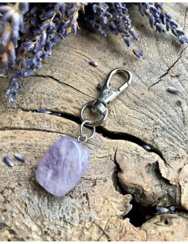 Amethist halsband hanger Dier & Welzijn - Image 2
