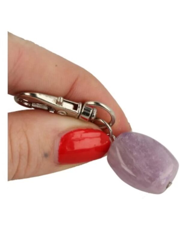 Amethist halsband hanger Dier & Welzijn - Image 3