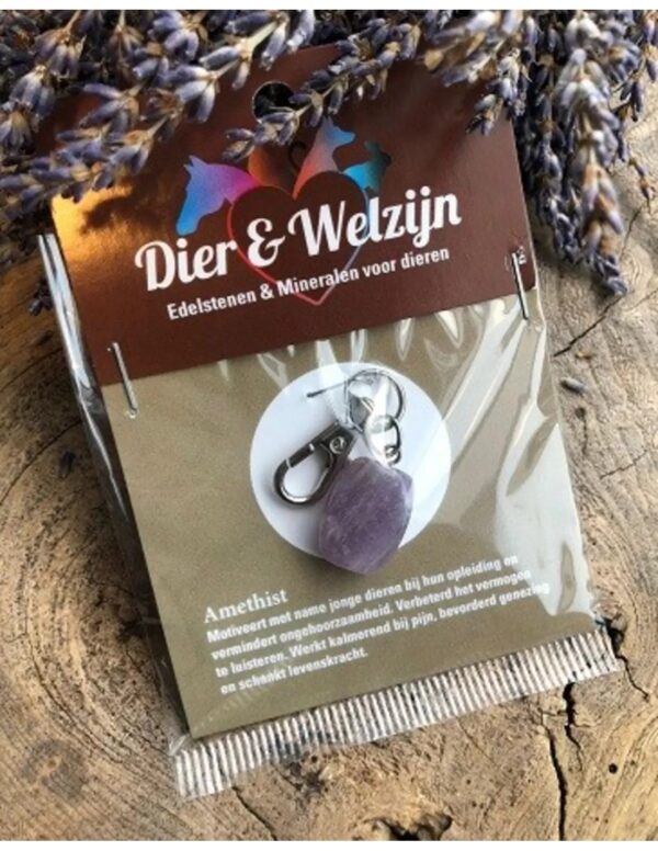 Amethist halsband hanger Dier & Welzijn - Image 4