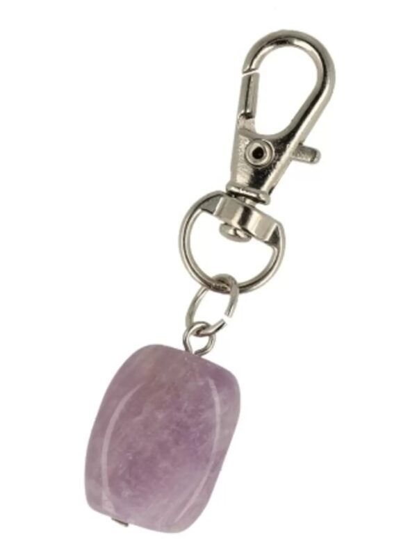 Amethist halsband hanger Dier & Welzijn - Image 5