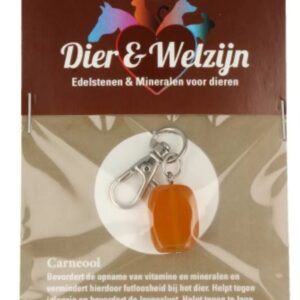 Carneool halsband hanger Dier & Welzijn