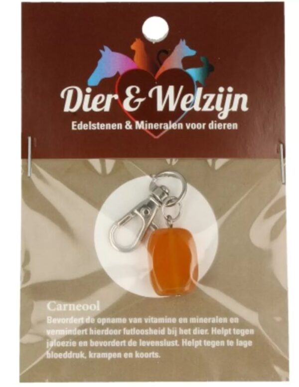 Carneool halsband hanger Dier & Welzijn