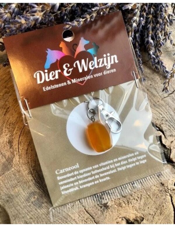 Carneool halsband hanger Dier & Welzijn - Image 4