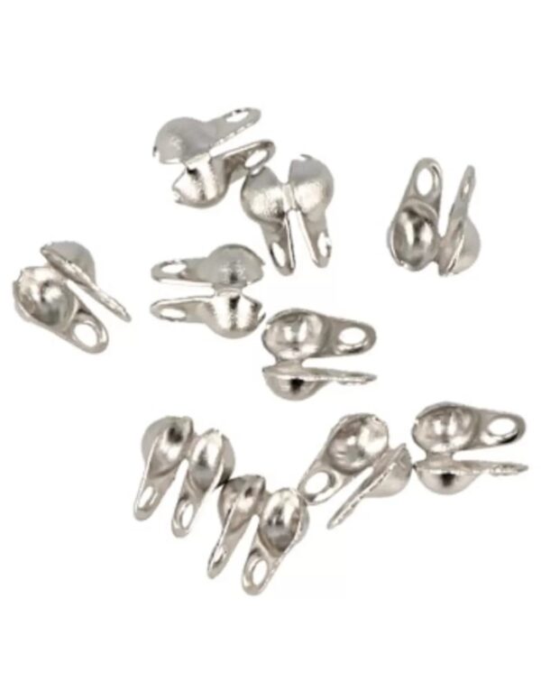 Kalotje 2,4 mm, roestvrij staal, 10 stuks