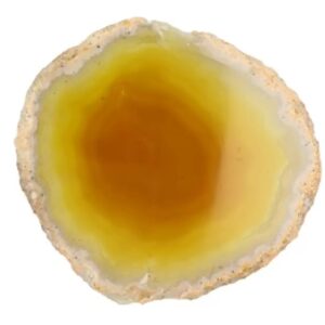 Agaatschijf groen middel 10-15 cm (gekleurd)