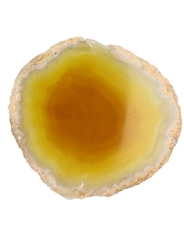 Agaatschijf groen middel 10-15 cm (gekleurd)