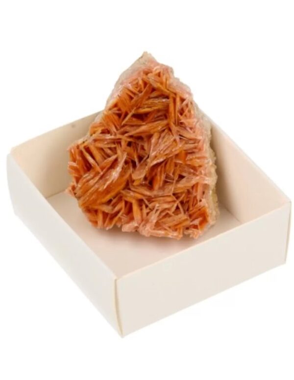 Doosje Bariet roze/oranje