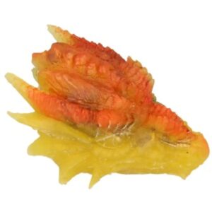 Orgonite draken schedel geel/oranje