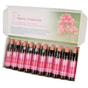 10 ml Set Karmic Essences